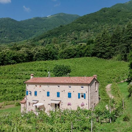 Agriturismo Podere Del Bosc Valmareno Luaran gambar