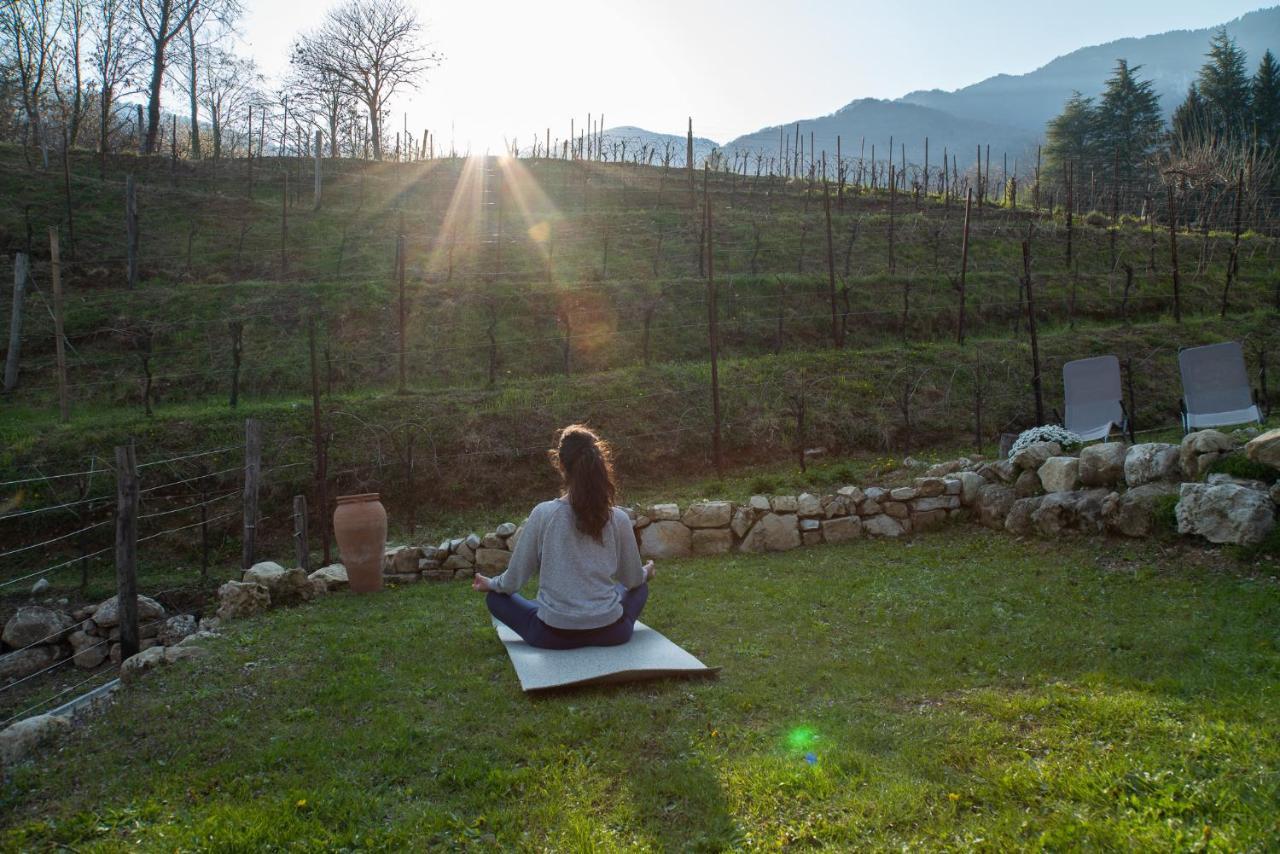 Agriturismo Podere Del Bosc Valmareno Luaran gambar