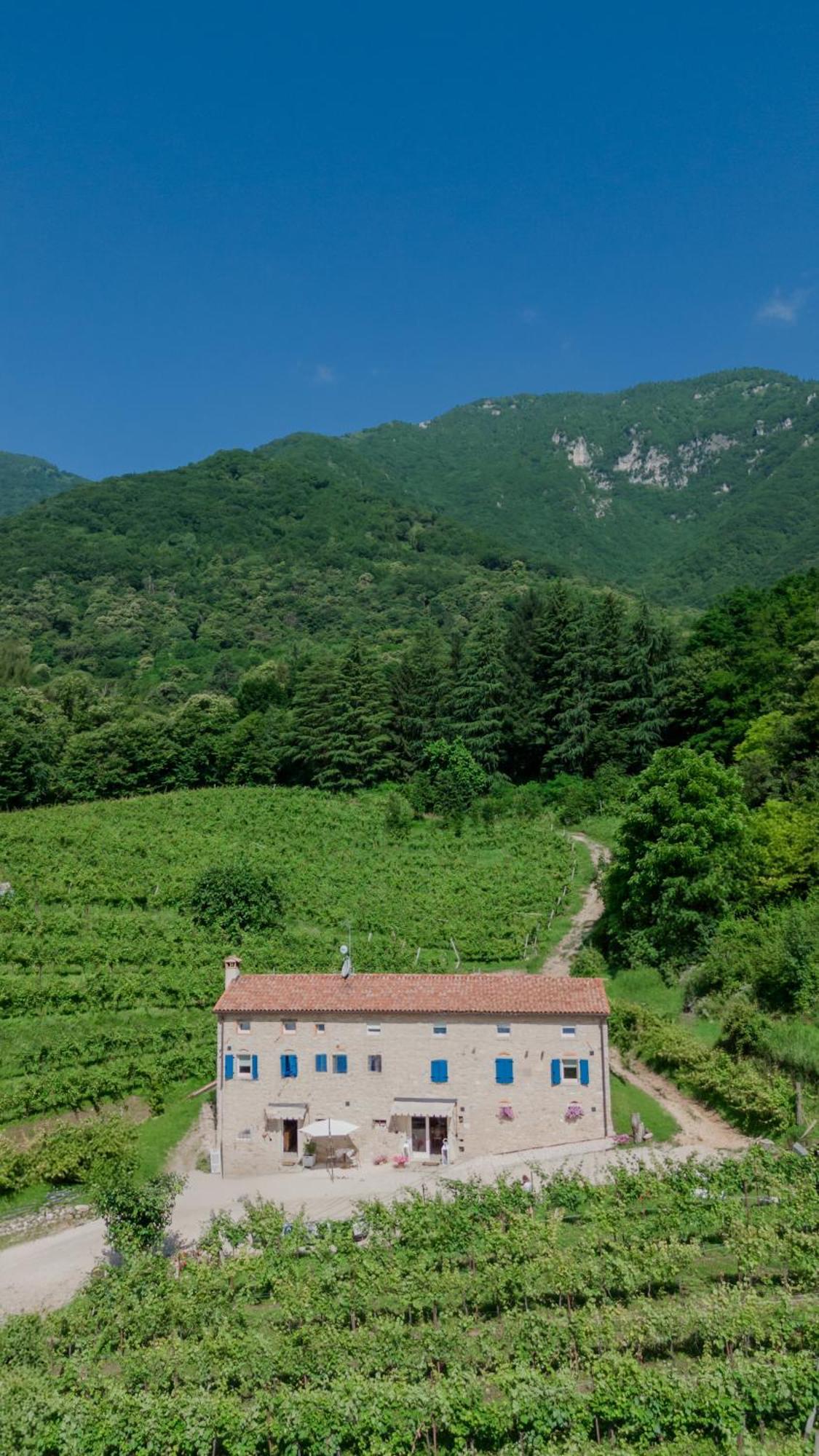 Agriturismo Podere Del Bosc Valmareno Luaran gambar