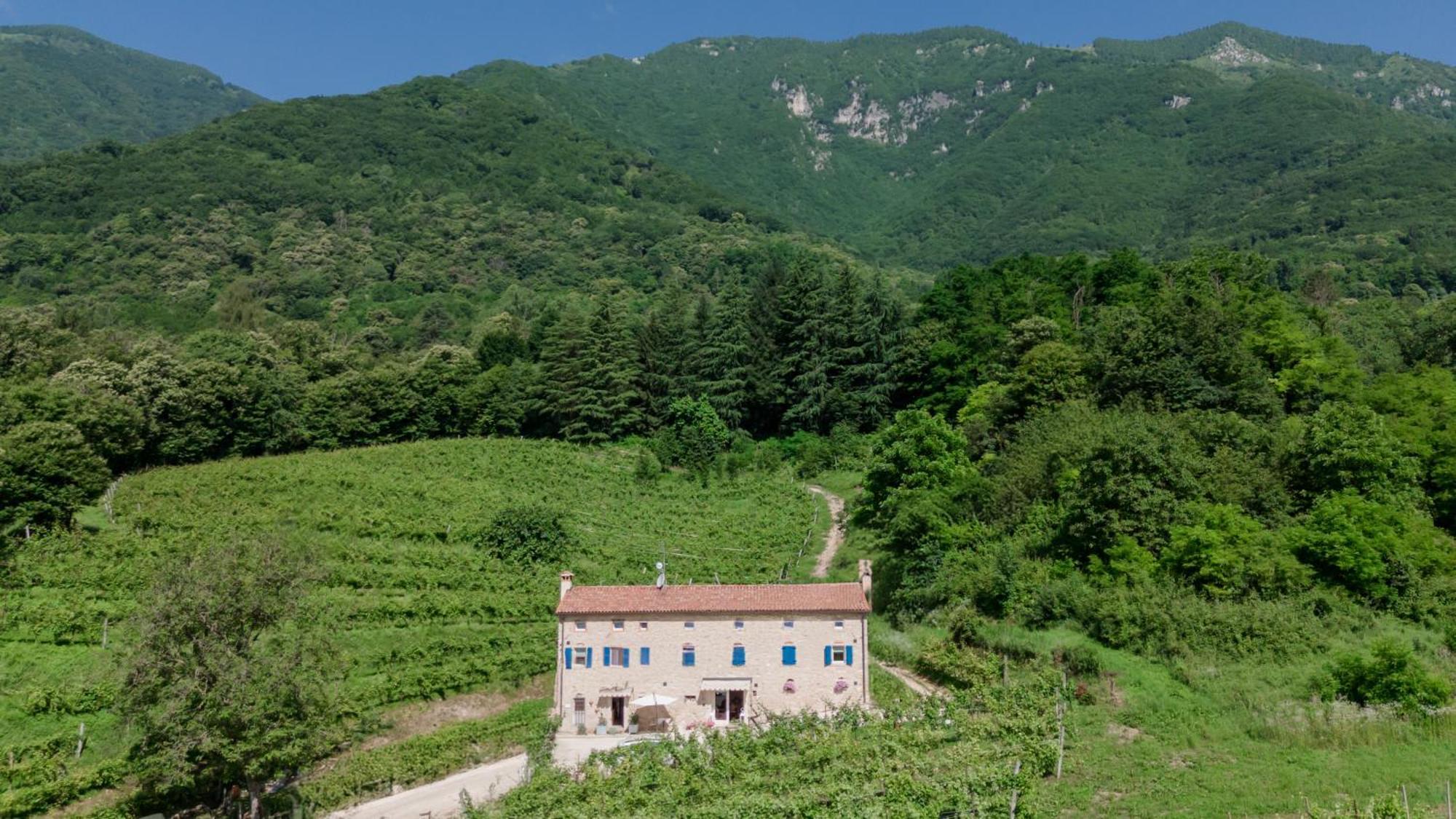 Agriturismo Podere Del Bosc Valmareno Luaran gambar